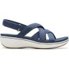 Navy Canvas