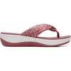 Dusty Rose Int