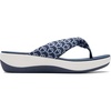 Indigo Print